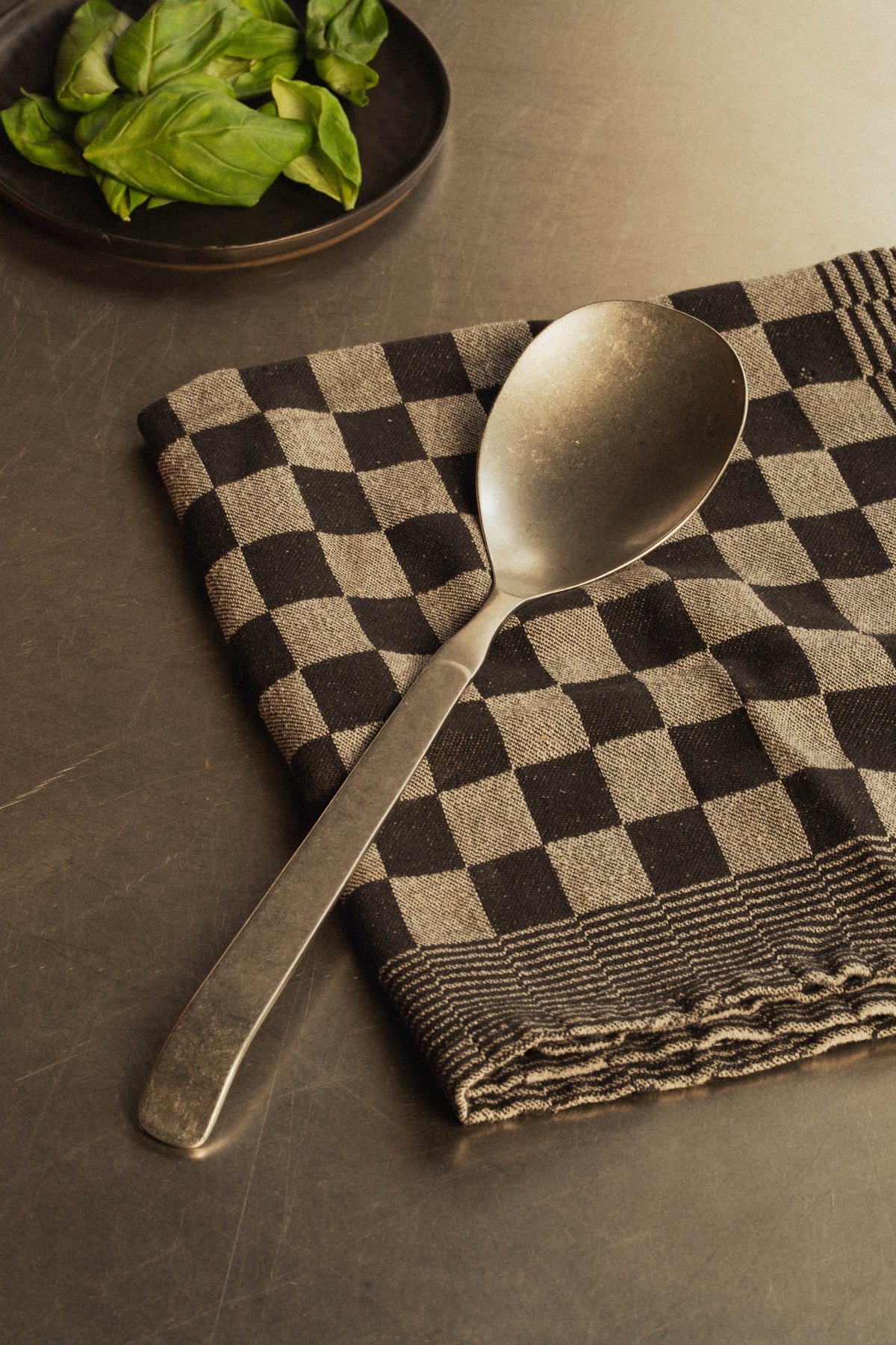 Stainless Steel Pizza Sauce Spoon